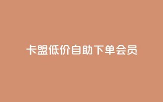 卡盟低价自助下单会员,ks点赞全网最低 - dy科技助手 - 网红自助下单商城