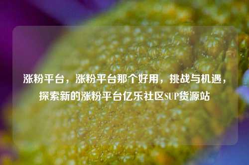 涨粉平台	，涨粉平台那个好用，挑战与机遇，探索新的涨粉平台亿乐社区SUP货源站  第1张